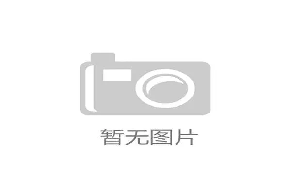 英超纽卡球队全解读与财团投资动态